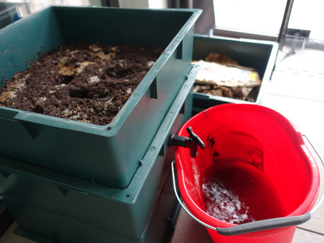 Cómo preparar el compost Bokashi, sencillo y barato.