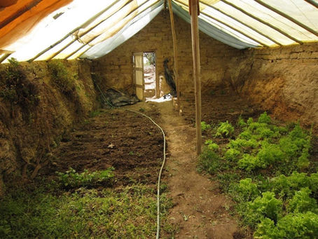 Cómo construir invernaderos subterráneos para cultivar todo el año