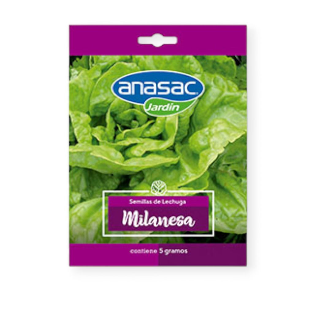 Semillas de Lechuga Milanesa 5gr