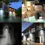 Miniatura: Foco Led Solar para muro con sensor de movimiento 20LED