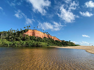 arraial dajuda taxi, sua empresa de taxi