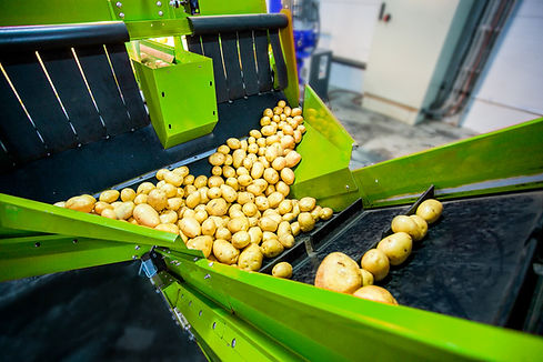 KisanHub solutions potatoes