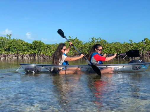 Two guests kayaking through a mangrove channel