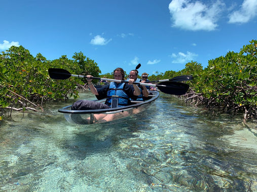 Guests paddling clear kayaks through the mangroves