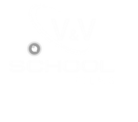 LOGO BLANCO VYV-1.png