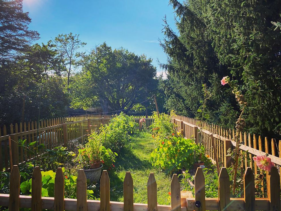 Gardening Workshops