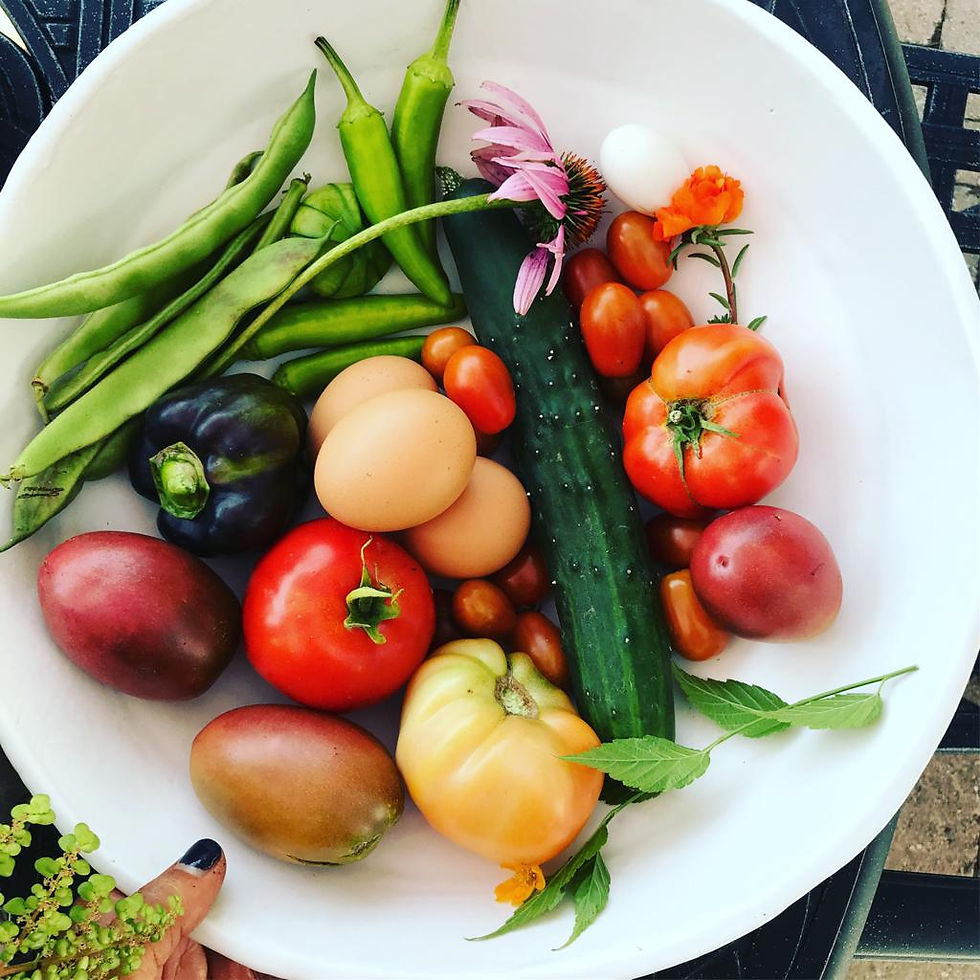 Farm to Fork Workshops