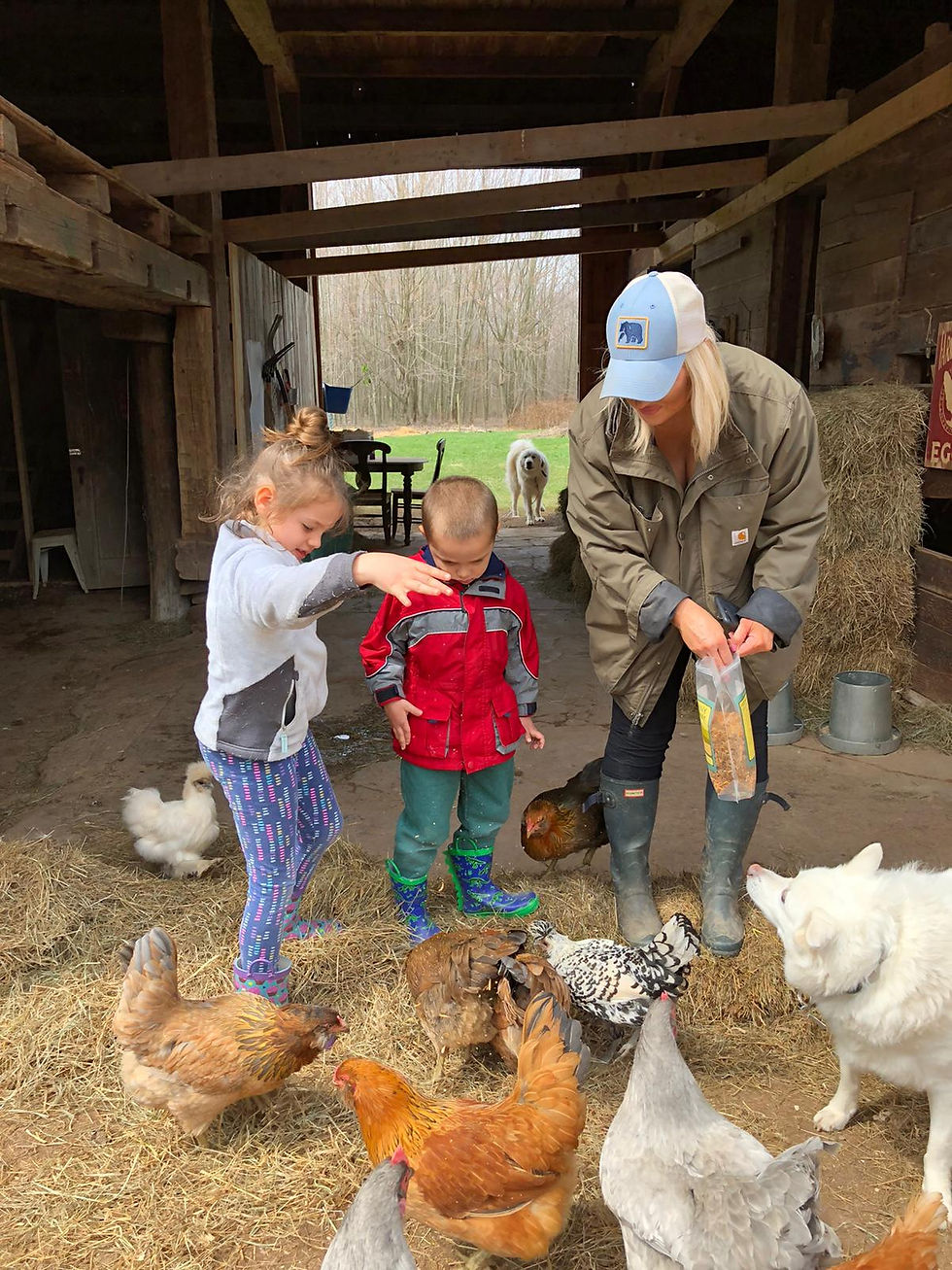 Children's Camps and Education Events
