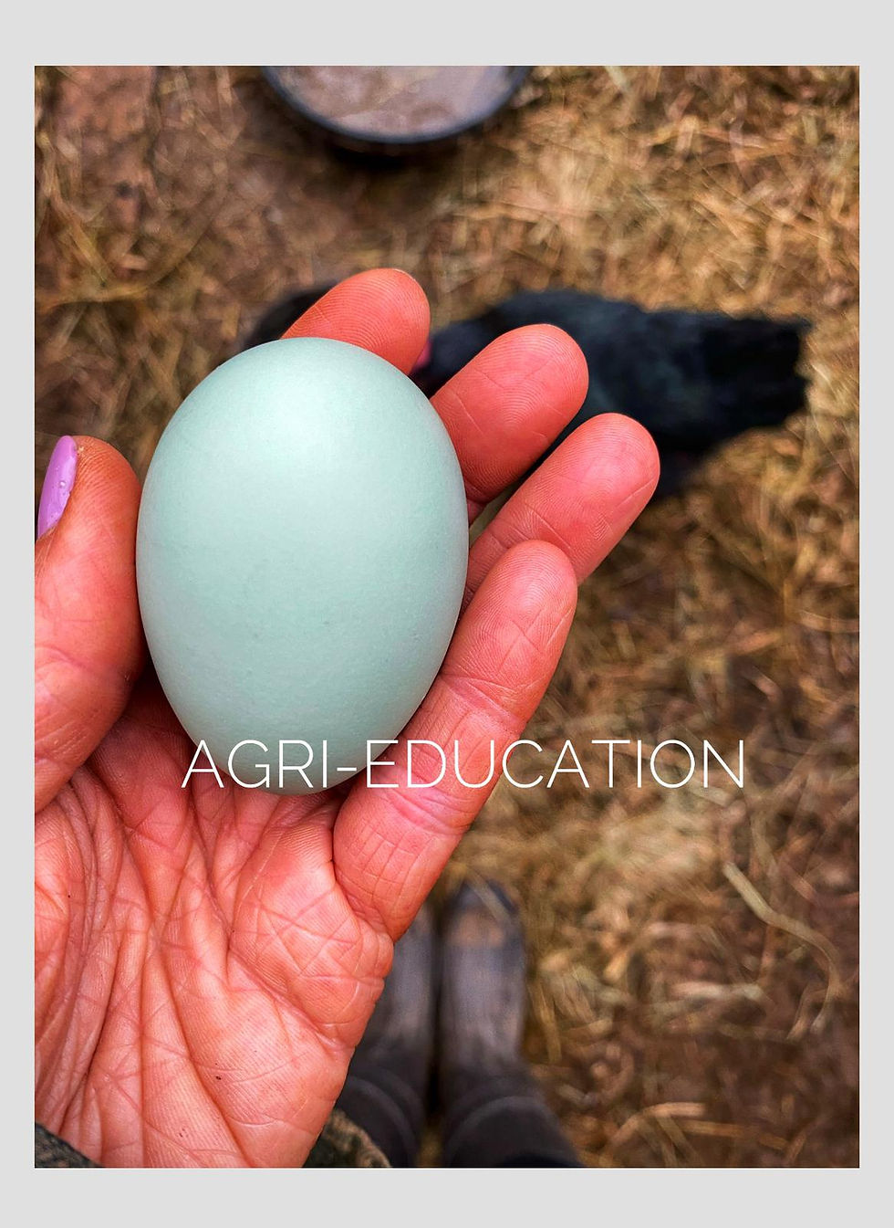 Agri-Education Workshops