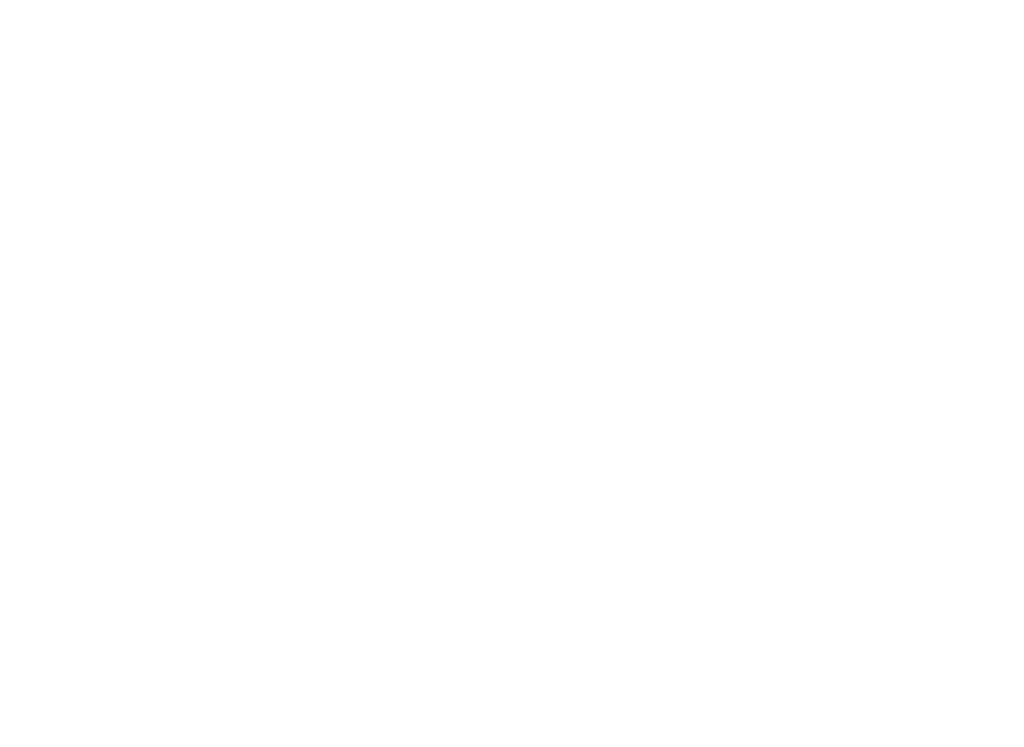Sapatinho de Luxo