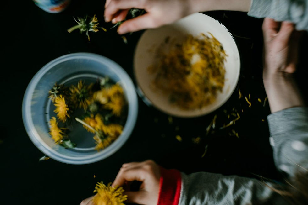 dandelion cookie recipe