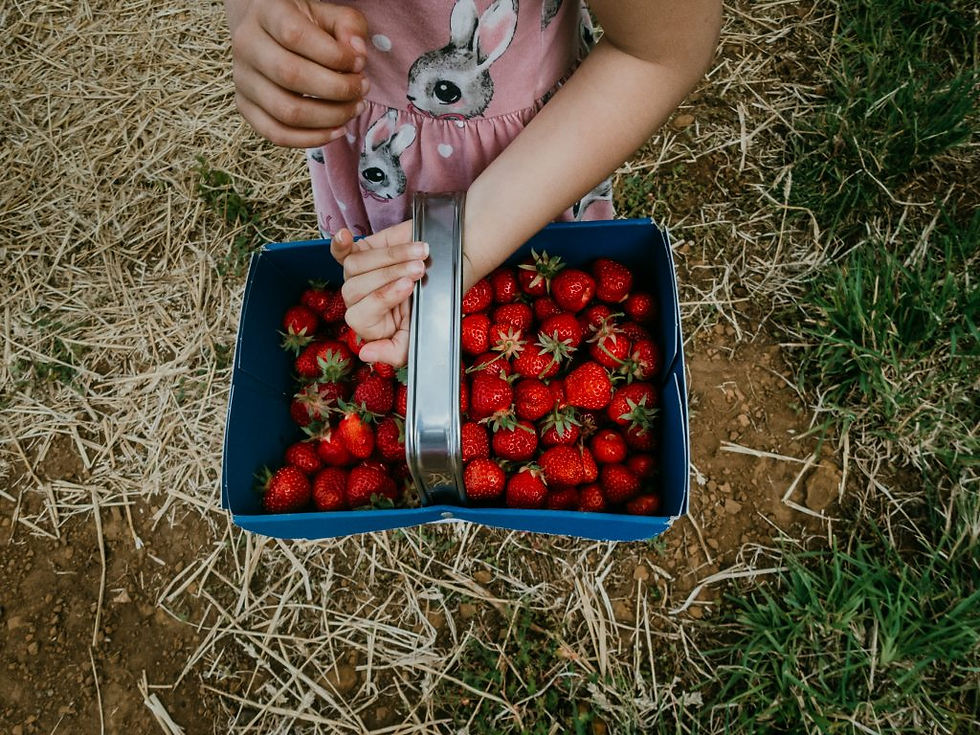 strawberry_lavender_jam