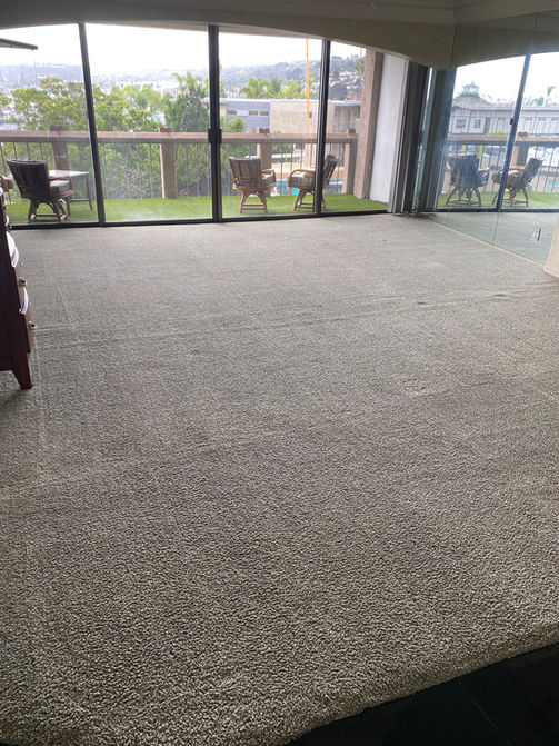 limpieza de alfombras, apartamento, limpieza profunda