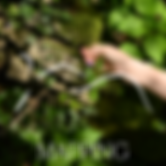 Assets, Erba Website-25.png