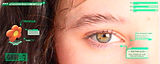 banner horizontal.jpg
