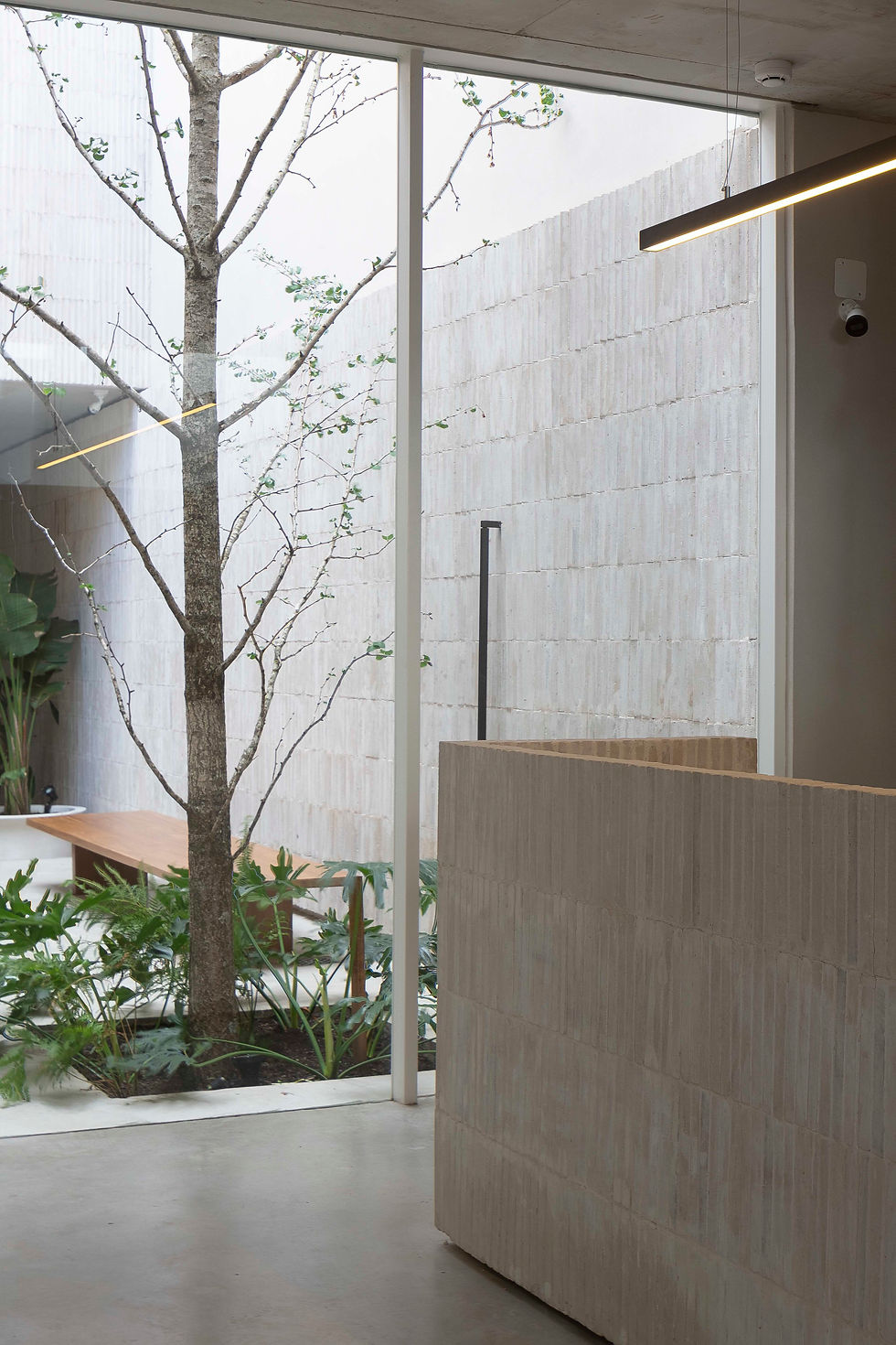 javier agustin rojas_smud zelcer niceto_IMG_6622+21_high.jpeg