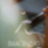Assets, Erba Website-29.png
