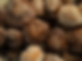 _IGP9713.jpg