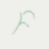 Assets, Erba Website-10.png