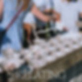 Assets, Erba Website-19.png