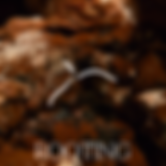 Assets, Erba Website-24.png