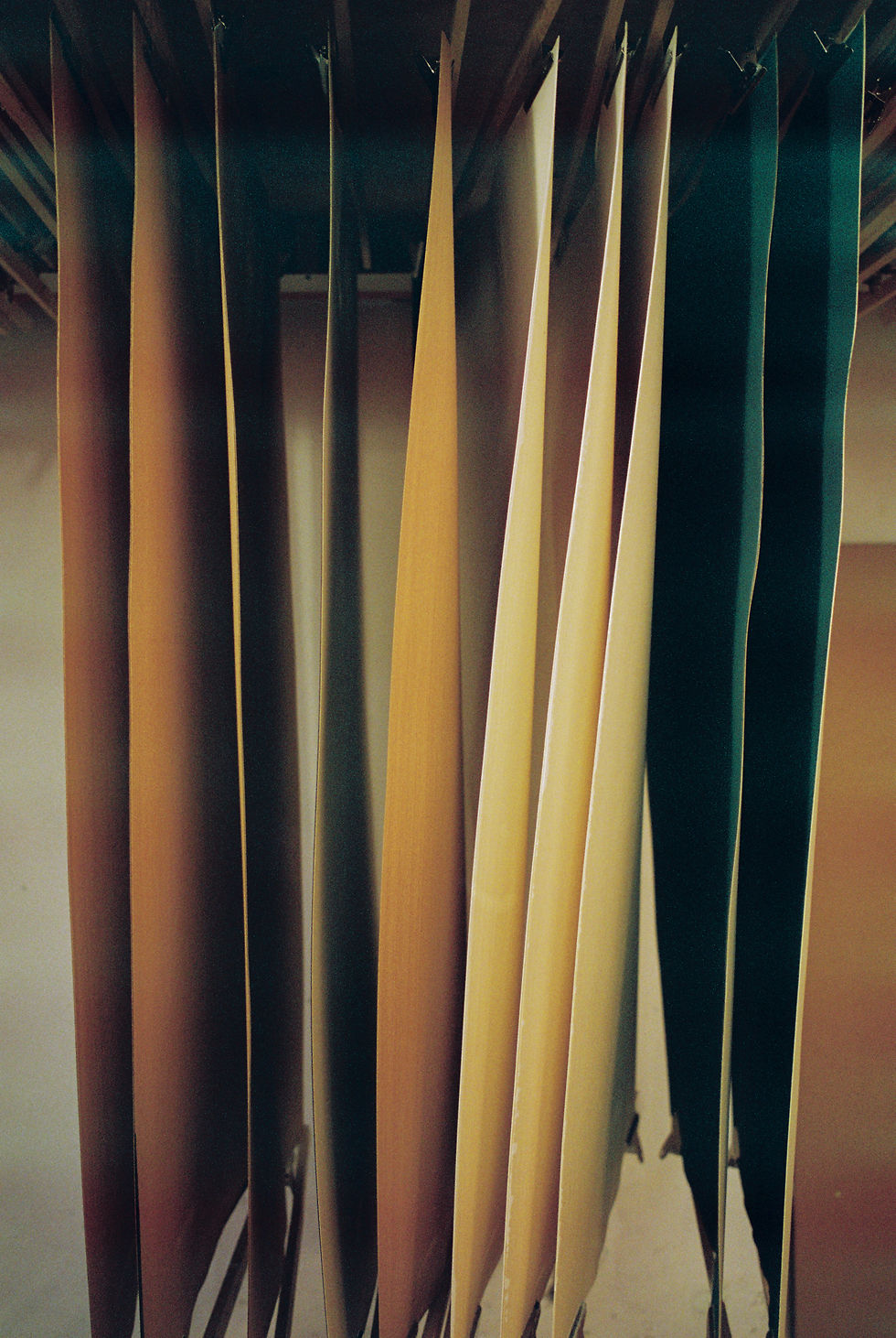 3583 - 2026.03.20 - Rodrigo Meiriño - Kodak Portra 800 -35.jpg