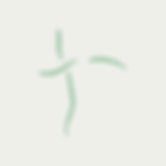 Assets, Erba Website-11.png