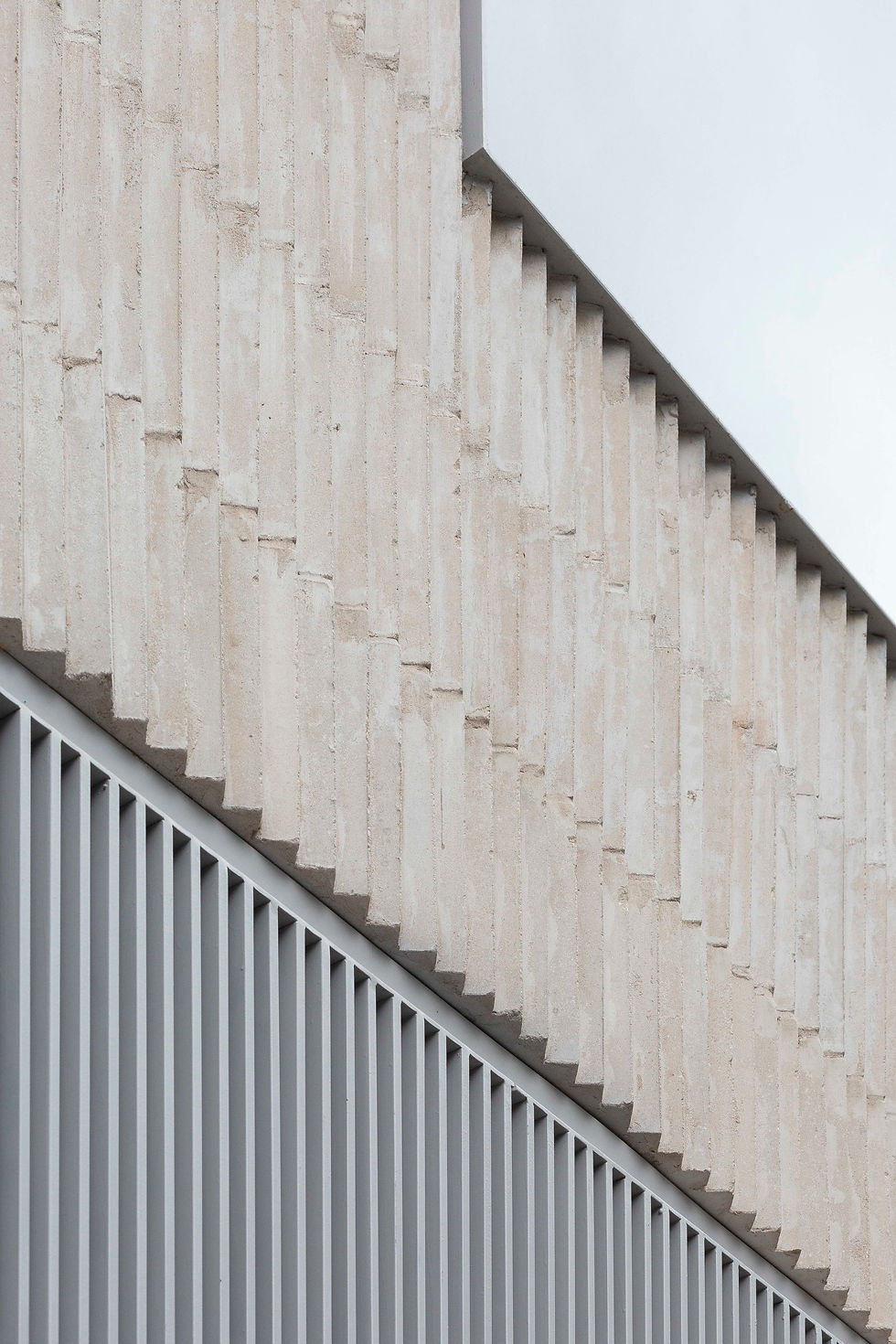 javier agustin rojas_smud zelcer niceto_IMG_6060_high.jpeg