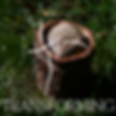 Assets, Erba Website-27.png