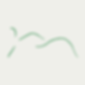 Assets, Erba Website-09.png