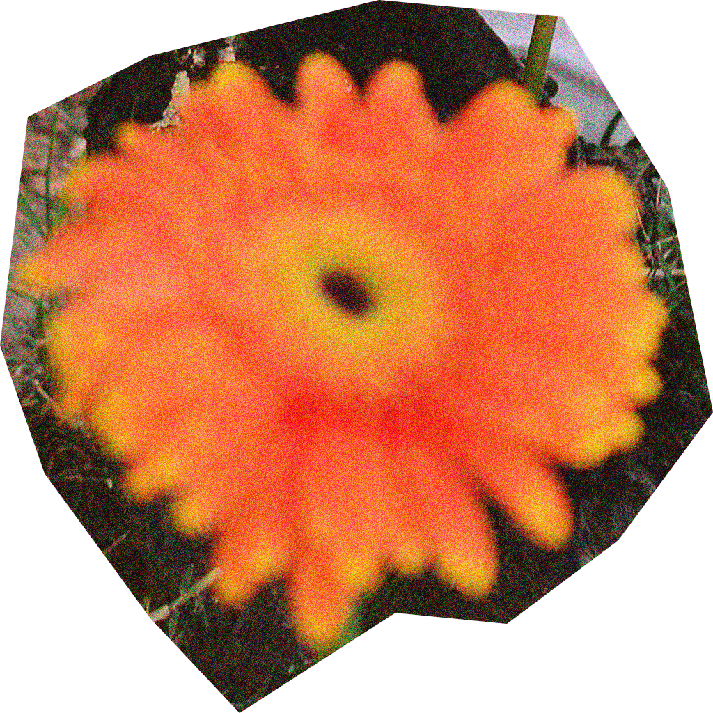 Ginger joyeria | Las Flores capsule