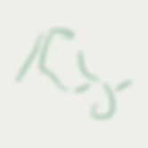 Assets, Erba Website-15.png