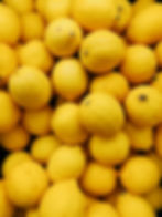 Apricots - Fruit