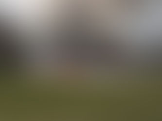 "When's The Best Time To Burn?"