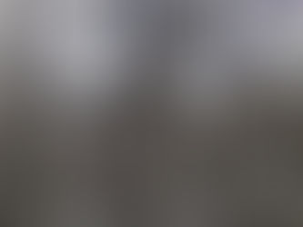 Botanizing in Midwinter