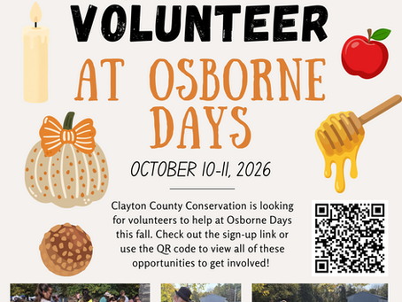 Volunteer Opportunities