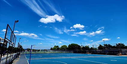 School photo - netball view.jpg