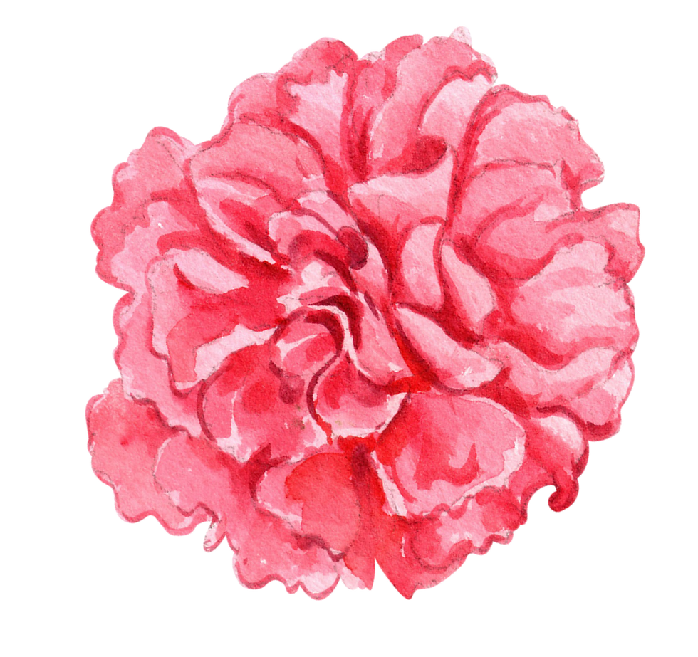 florals-01.png