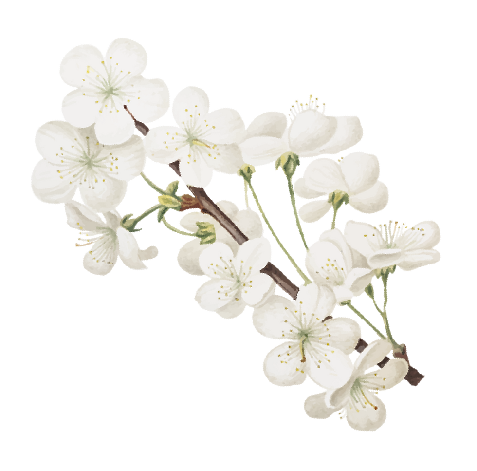 flowers-03.png