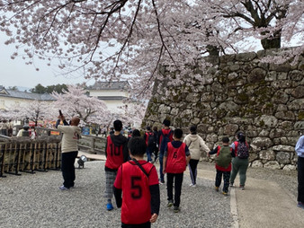 🌸彦根城に行ってきました🌸