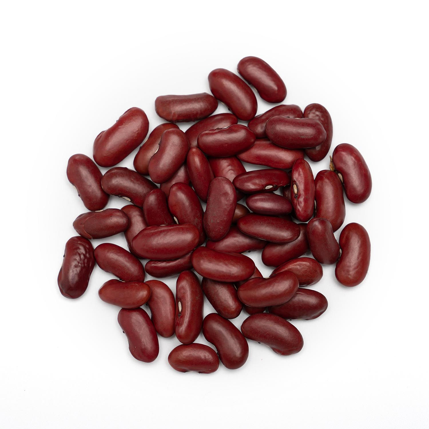 Kidney Beans