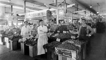 Grocery.webp