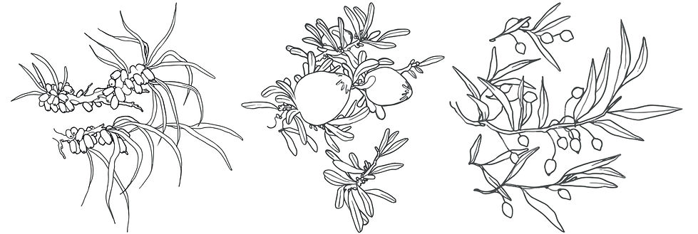 design5.jpg
