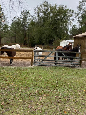 Attachment 2 (1).jpg