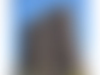 新着物件ご紹介!長浦駅徒歩2分!パインズマンション長浦駅前タワー(区分)