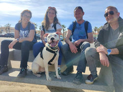 formation coach canin