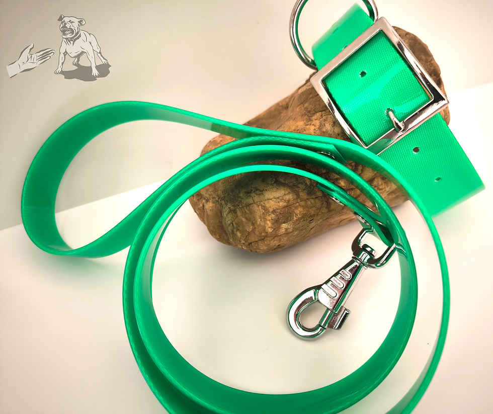 Miniature : Collier plat en BIOTHANE® 38 mm et plus