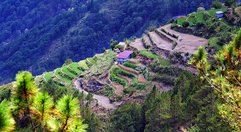 Thumbnail: Rice Terrace Codilliera –7.700 eilanden  1000+ attracties, duikplekken, kaarten, links, video's en afbeeldingen