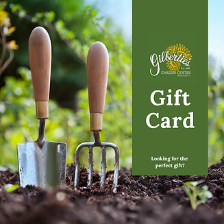 Gift Certificate (Square).png