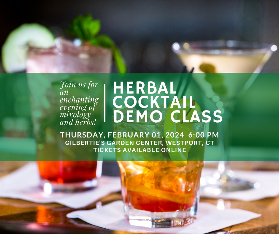 Herbal Cocktail Demo Class Gilberties Organics